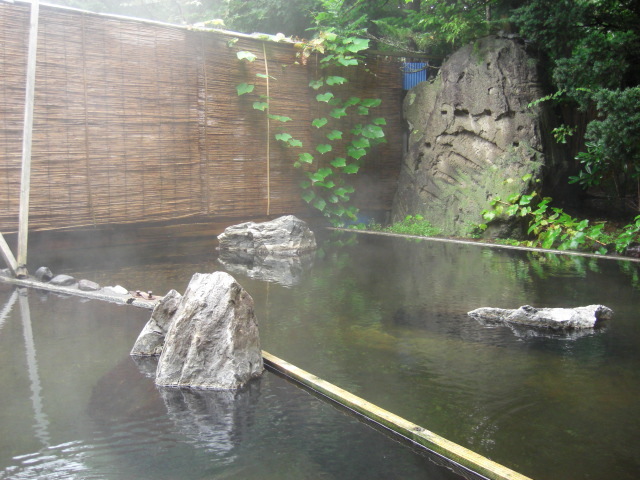 ◆温もりの宿　秘湯で大自然を満喫！開放感抜群の露天風呂♪素泊り