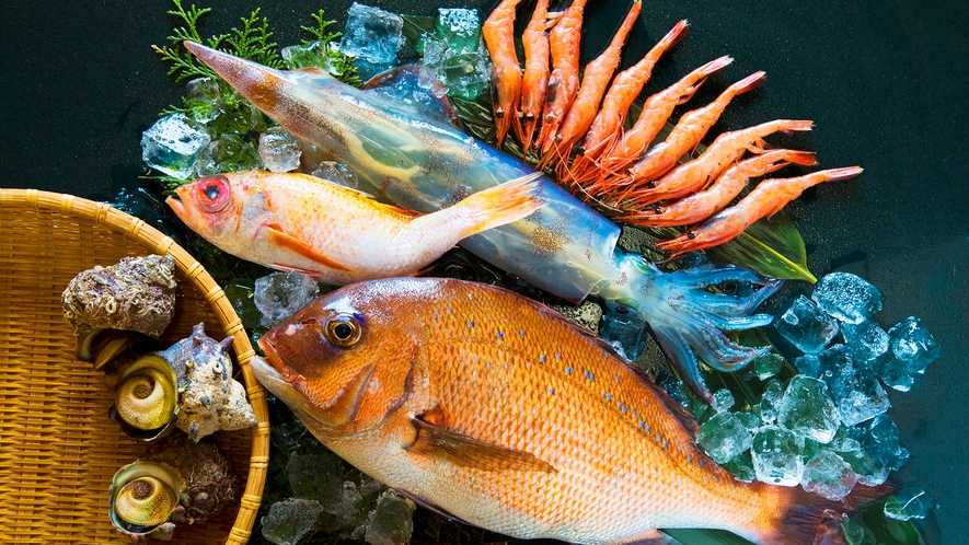 【越前10大グルメ】新鮮！海の幸の宝庫『越前』で獲れた旬の地魚や魚介類がてんこもり！