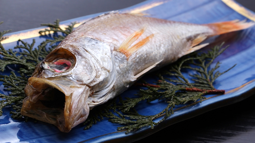 【のどぐろ】鮮度抜群！北陸の高級魚『のどぐろ』日本海の冷たい海水で引き締まった身は格別です