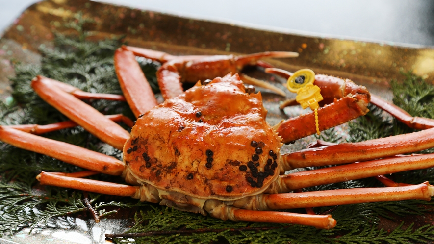 【越前かに】冬の味覚＜タグ付き越前かに＞甘味と旨味がぎゅっと詰まった絶品です