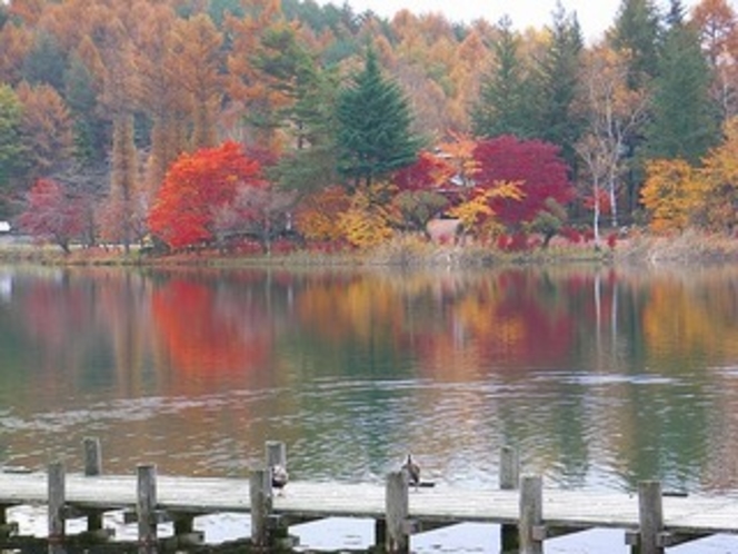 秋の蓼科湖