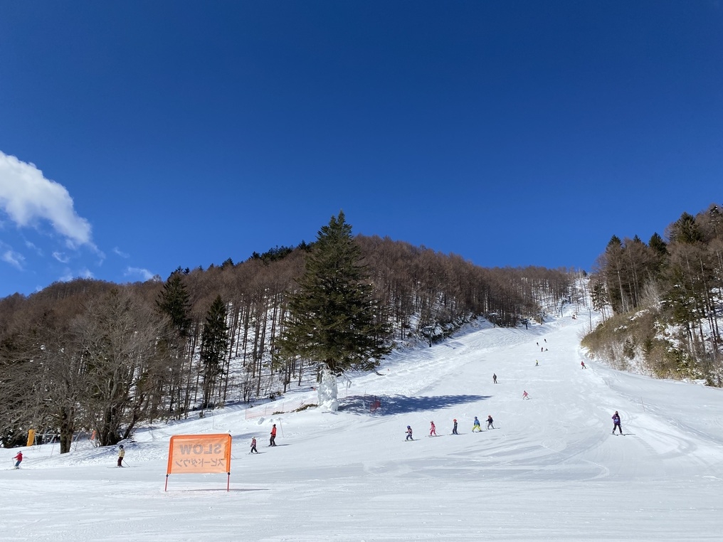 【リフト券付】≪2食付≫＜懐石料理＞スキー場が選べて嬉しい♪リフト1日券＋温泉で『冬』を満喫