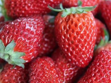 【マイカーで行く】南信州いちご狩り60分食べ放題付｜翌日体験｜1泊2食付【送迎なし】