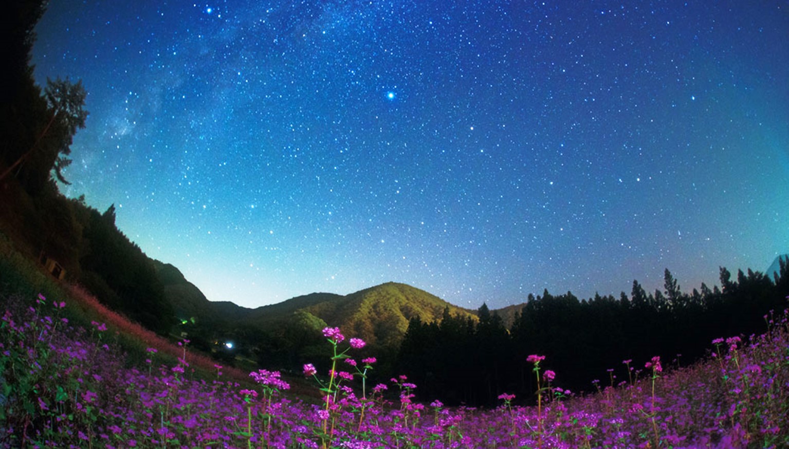 日本一の星の村で見る「満天の星空」