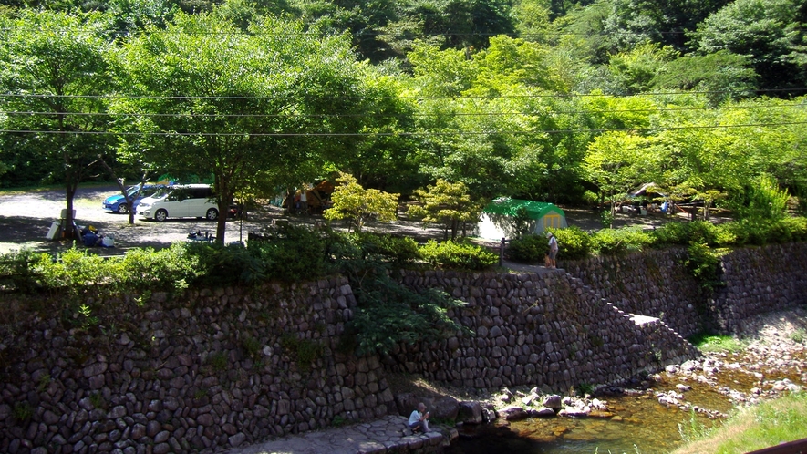 【敷地内一例】夜は、街灯の明かりを目掛けてたくさんの昆虫が集まってきます♪一緒に大自然を満喫しよう♪