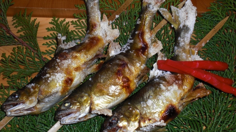 【一泊二食付き】当館基本コース●新鮮な川魚と旬の食材を使用した会席料理でおもてなし