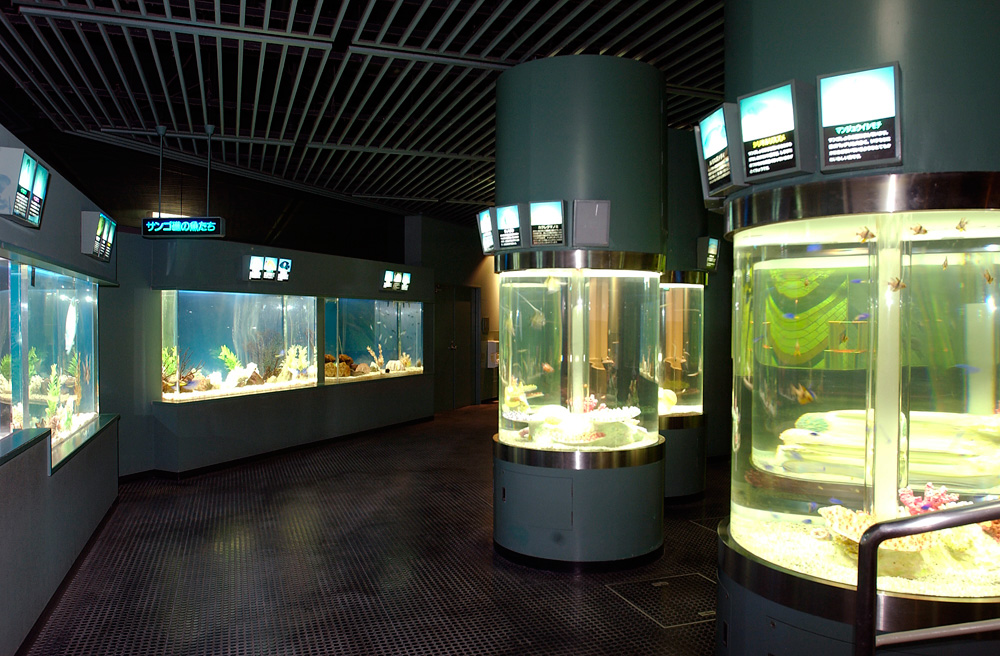 【サンピアザ水族館】