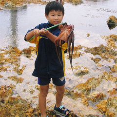 「とったど〜！」お子様大はしゃぎ！能登の秋の風物詩たこすかし漁と採れたて新鮮蛸を食す 