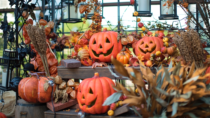 【期間限定・2食付き】モンスターのおもてなし ルームサービス ハロウィンディナー付きプラン