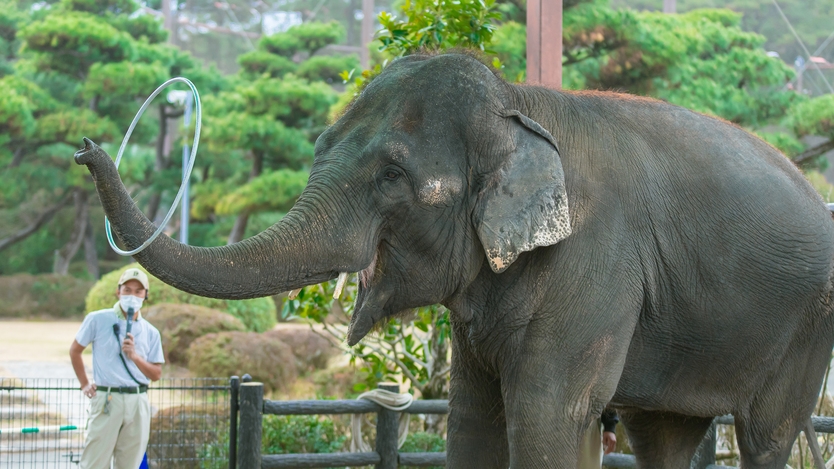 【朝食付き】12種類のアクティビティが楽しめる！お子様半額宿泊プラン