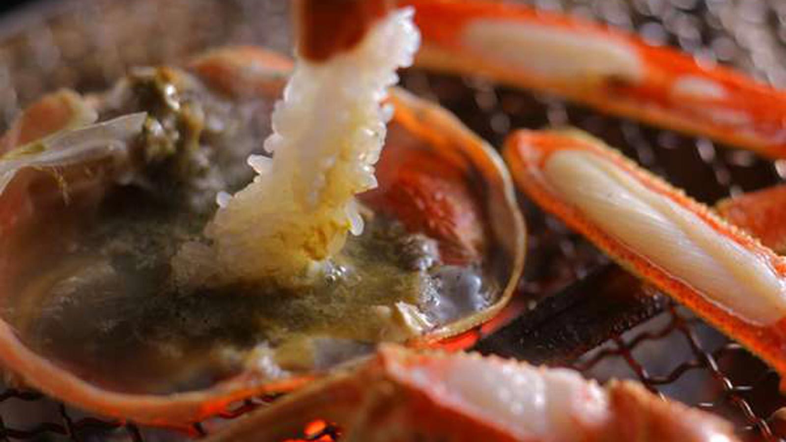 【超特撰「タグ付き加能蟹」贅沢に一人一杯＆貸切風呂無料】冬の醍醐味”地蟹”を4種の蟹料理で思う存分♪