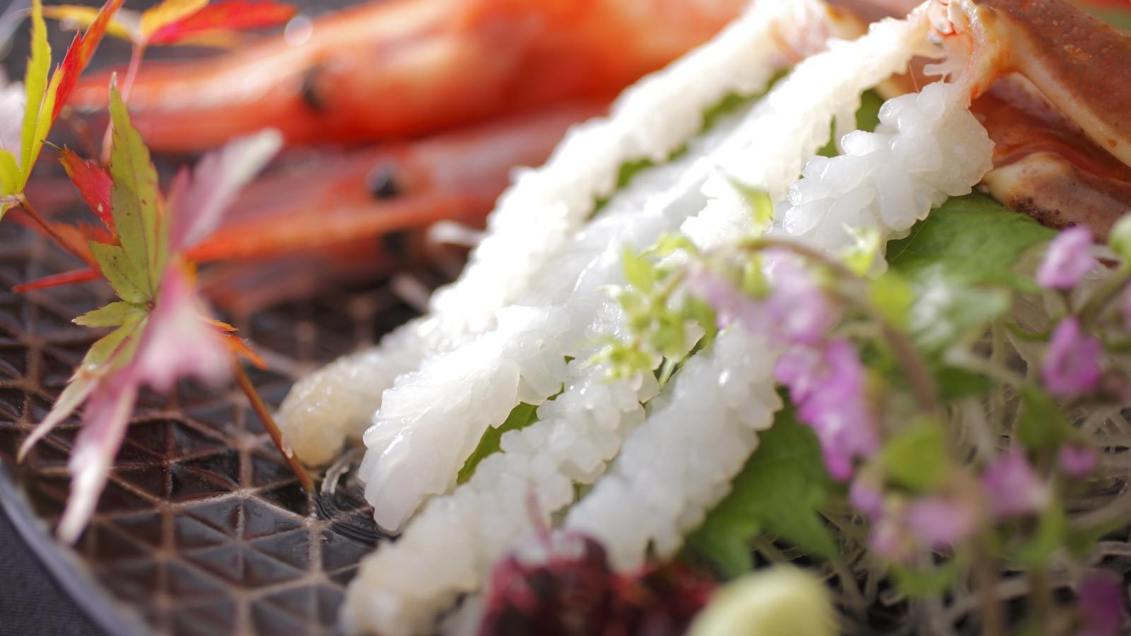 【超特撰「タグ付き加能蟹」贅沢に一人一杯＆貸切風呂無料】冬の醍醐味”地蟹”を4種の蟹料理で思う存分♪