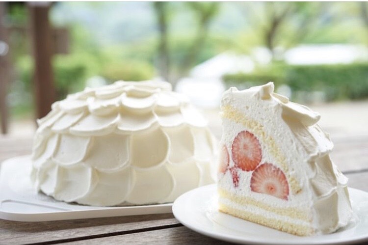 【ご家族でアニバーサリー旅行プラン】ドームケーキ付♪プラン☆ご夕食時飲み放題付♪
