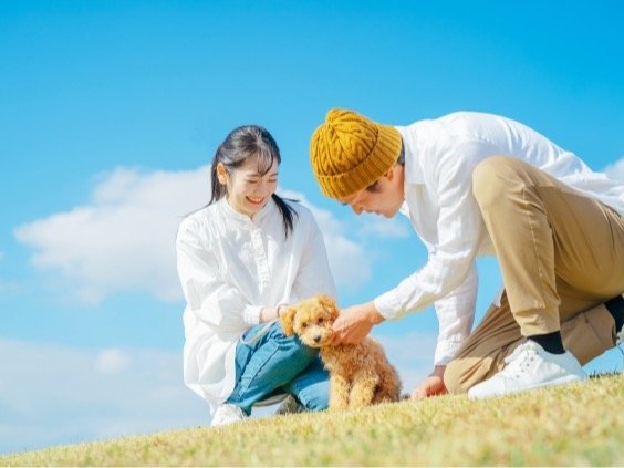 愛犬とのんびり宿泊★当館スタンダード ＜ご当地ブランド知多牛サーロインステーキ＞ 山海の幸膳・2食付