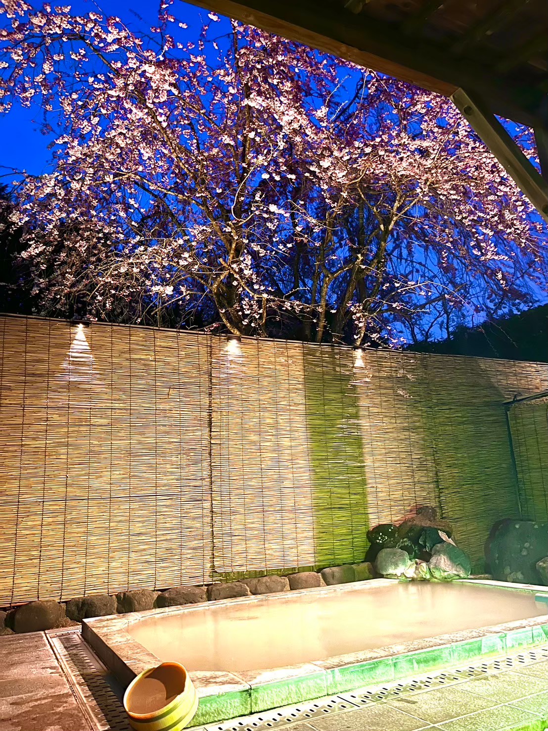 露天風呂（枝垂桜ライトアップ）