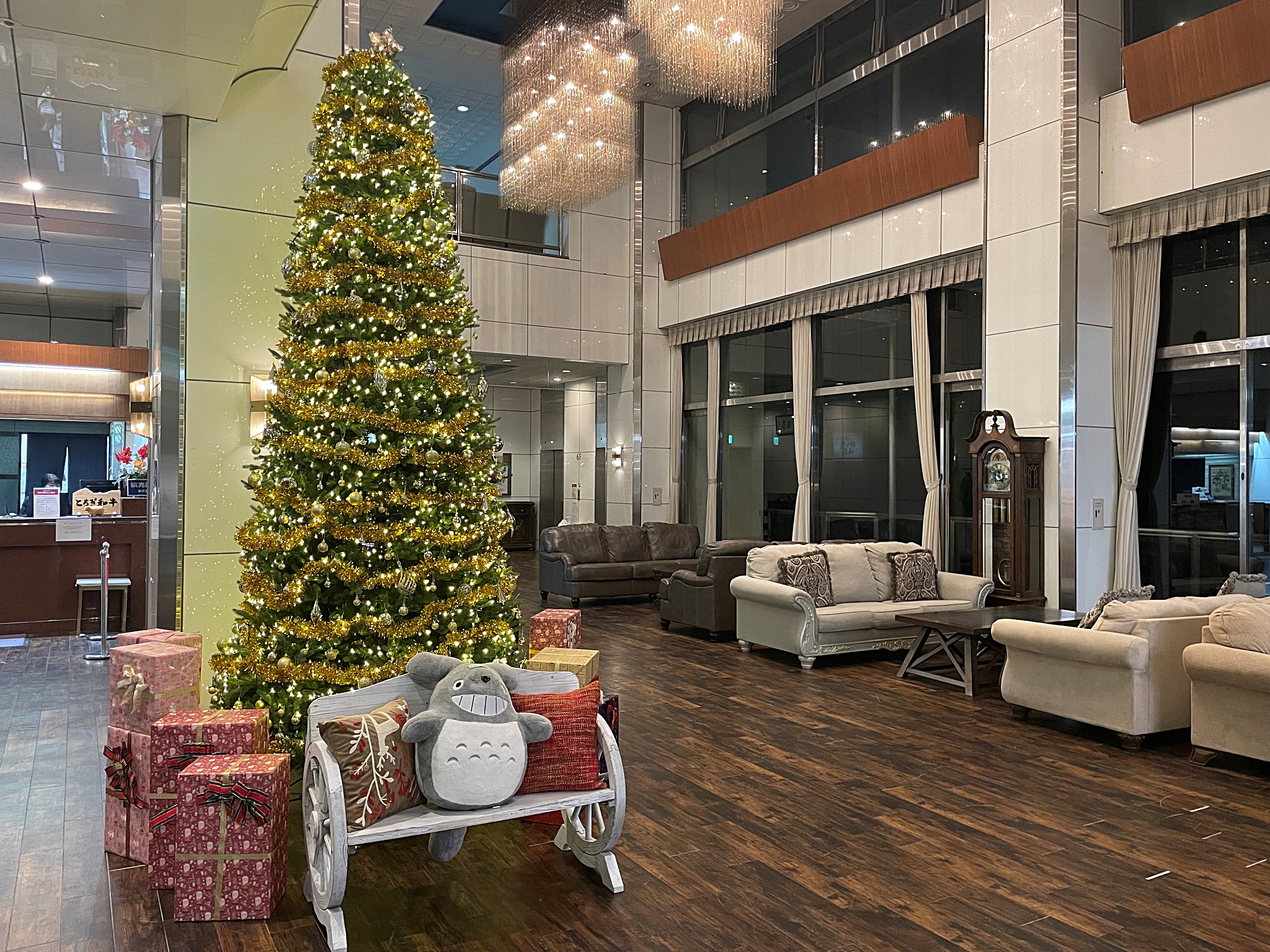 *ロビーにクリスマスツリーを飾りました！