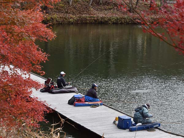 聖湖紅葉イメージ