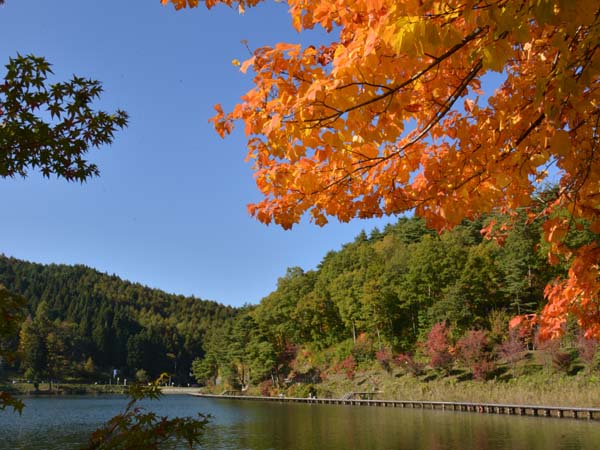 聖湖紅葉イメージ