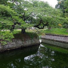 龍岡城