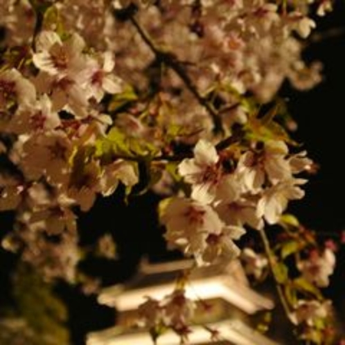 ■上田城千本桜まつり
