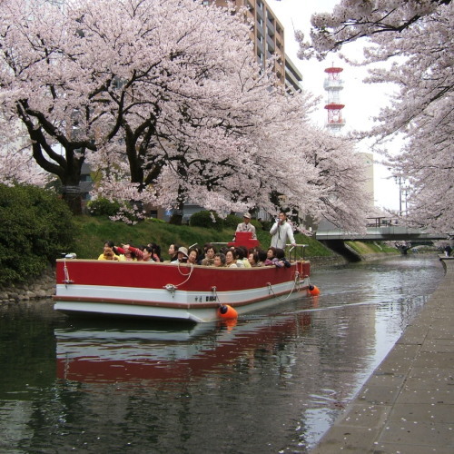 富山エクセルホテル東急 - 写真 77