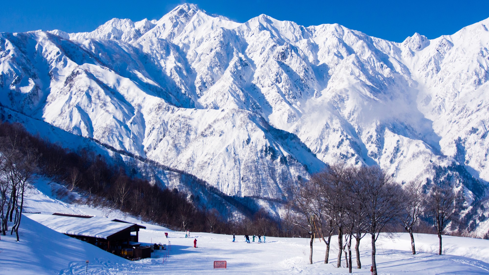 白馬五竜スキー場700ｍ