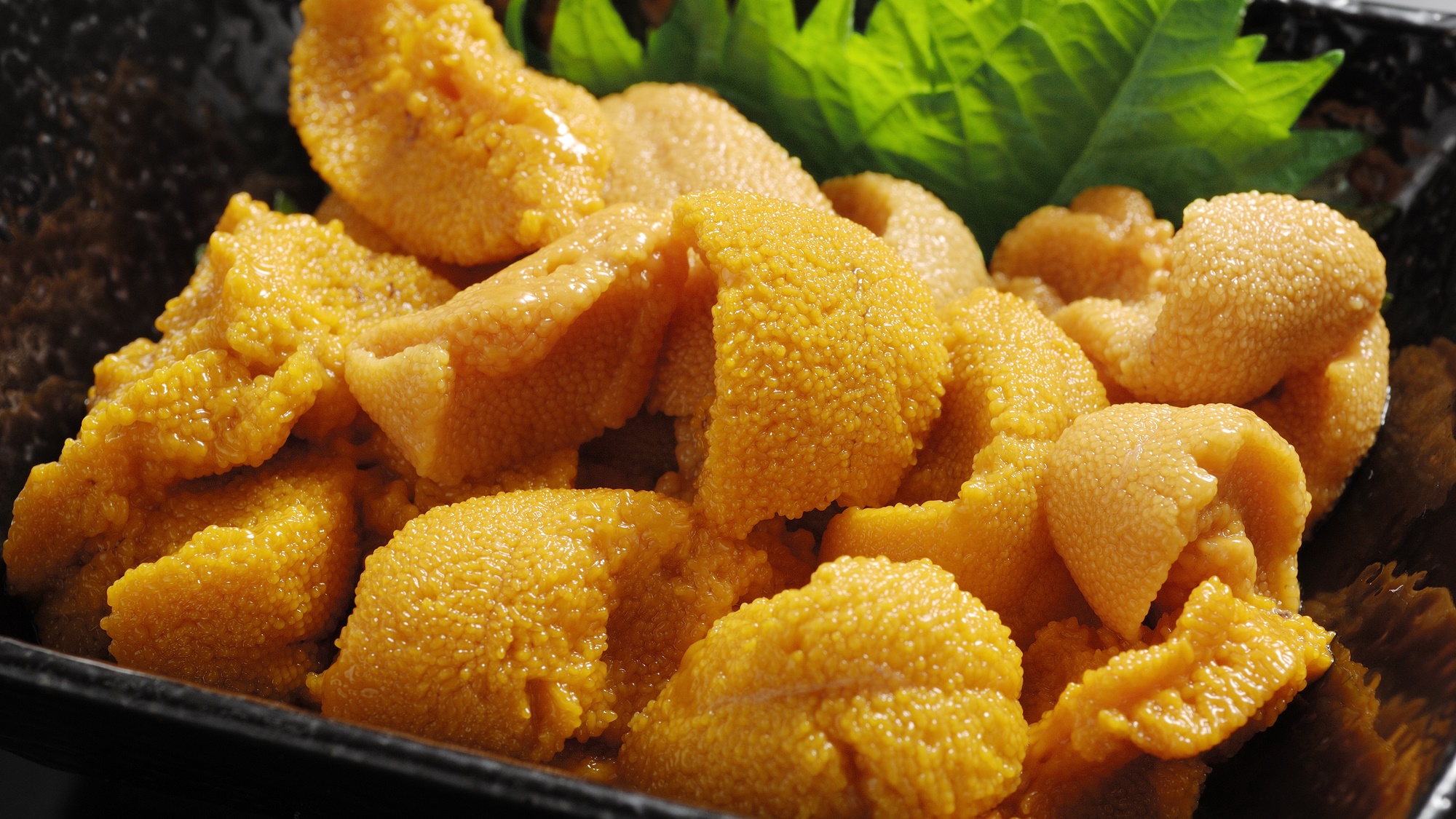 礼文温泉 花れぶん 礼文島 宿泊予約 楽天トラベル 礼文温泉 花れぶん 礼文島 宿泊予約 楽天トラベル