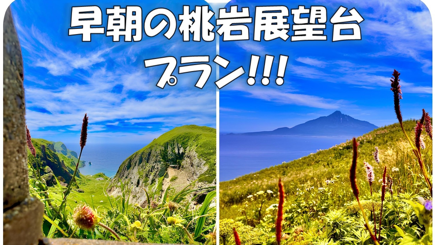 【桃岩展望台へ早朝お散歩プラン】礼文島のお花畑にご案内♪ホテル〜桃岩展望台間の送迎あり/2食付き