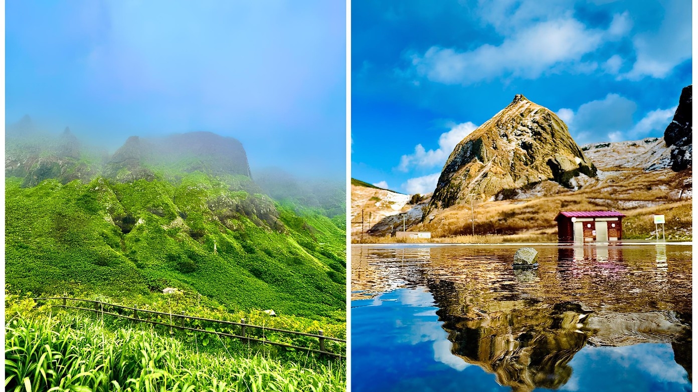 【桃岩展望台へ早朝お散歩プラン】礼文島のお花畑にご案内♪ホテル〜桃岩展望台間の送迎あり/2食付き