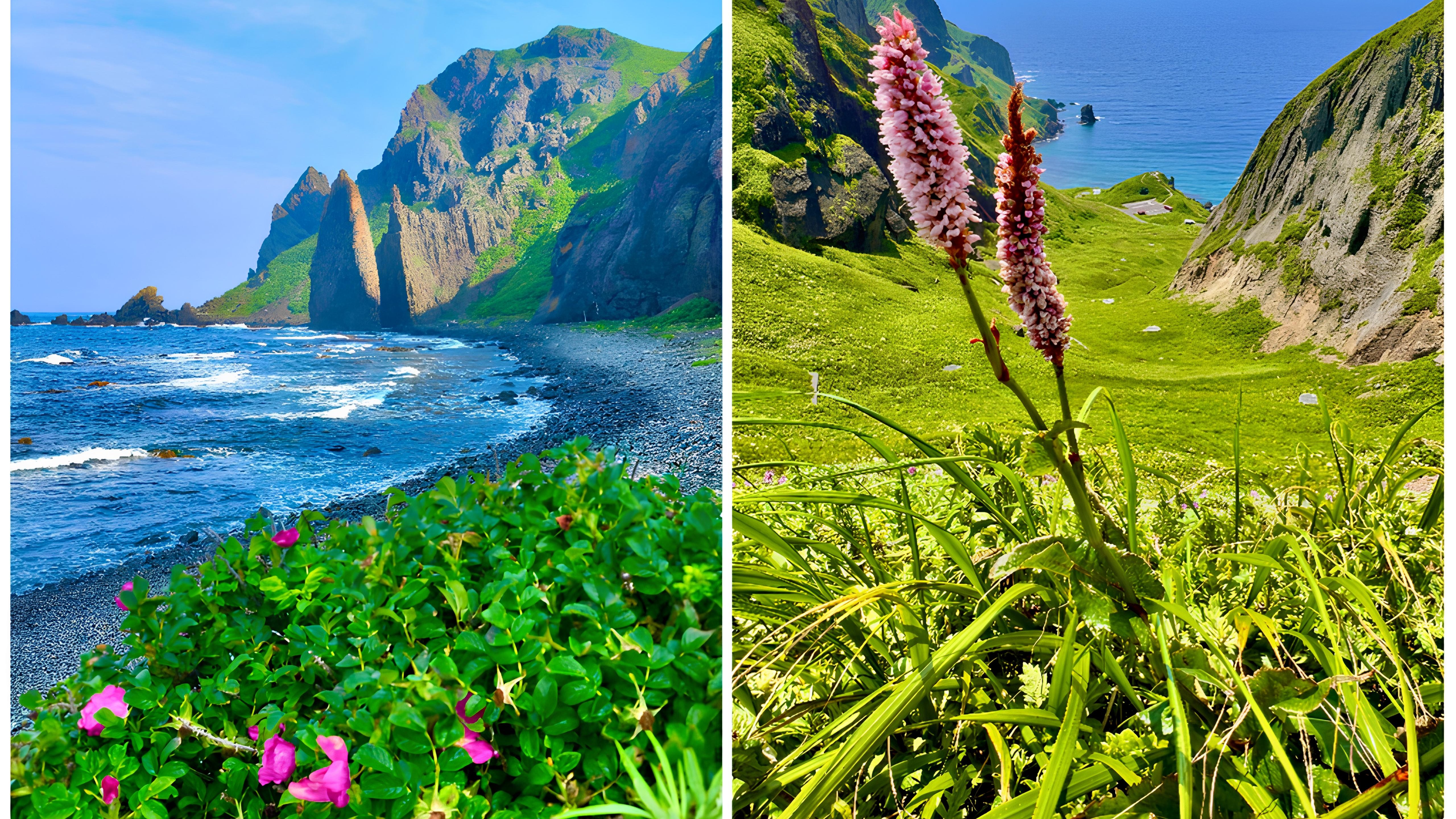 *【礼文島観光】桃岩展望台など見どころ満載！