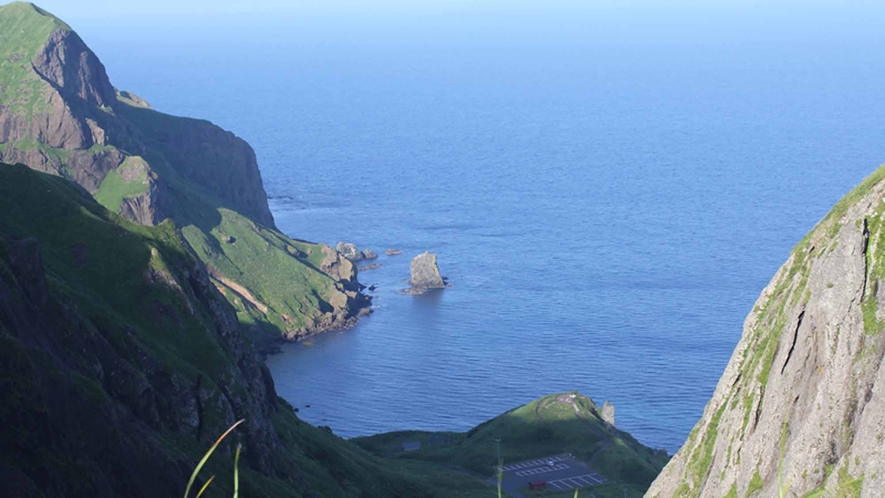 *【自然】約300種類の高山植物が見られる日本最北端の島。四季折々の花木が皆様をお待ちしております。