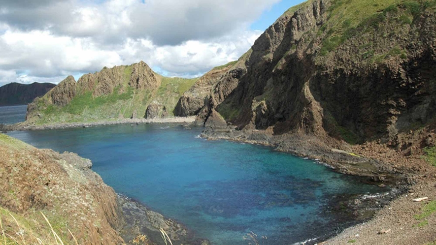 【自然】約300種類の高山植物が見られる日本最北端の島。四季折々の花木が皆様をお待ちしております。