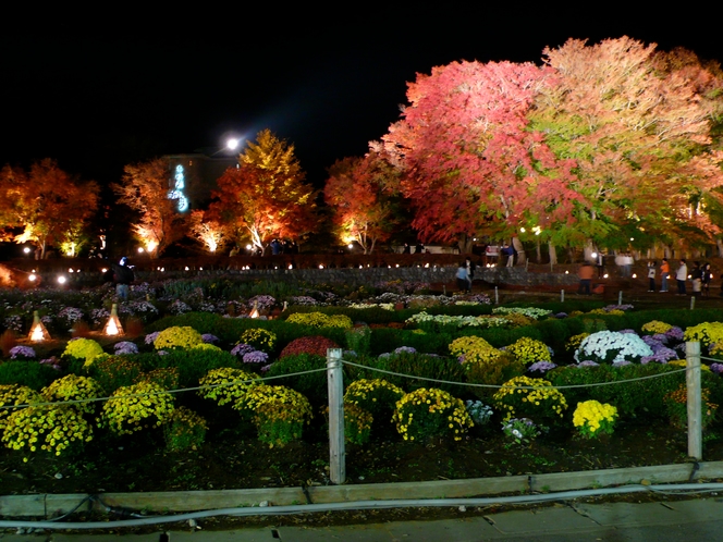 紅葉祭り