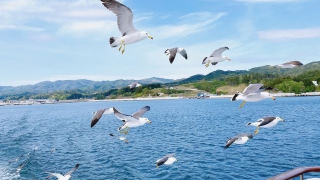 気仙沼ベイクルーズ遊覧船チケット付き宿泊プラン