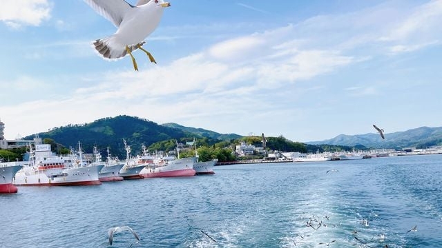 気仙沼ベイクルーズ遊覧船チケット付き宿泊プラン