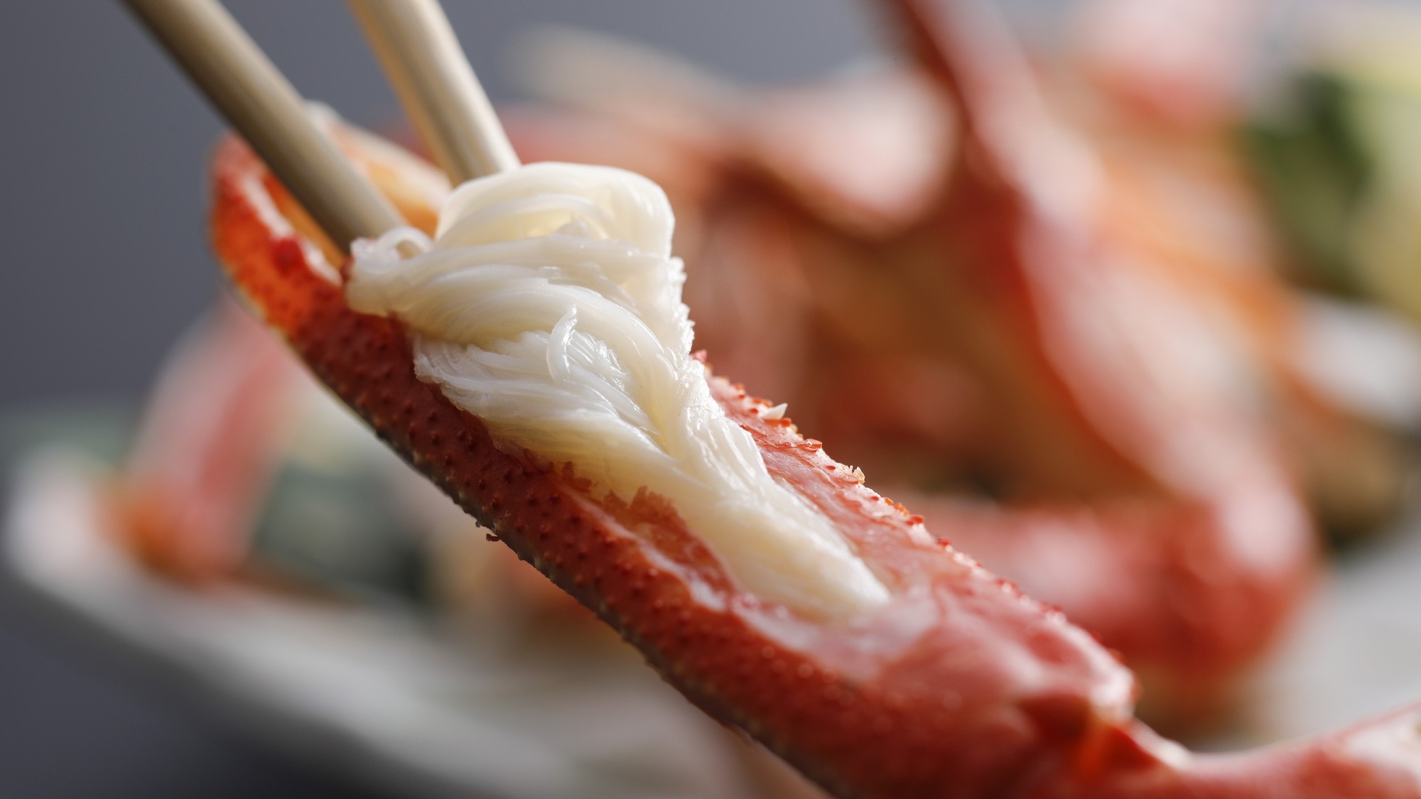 【冬】大がに１杯＆ボイル１杯使用！！冬はやっぱりカニ♪満腹フルコースプラン