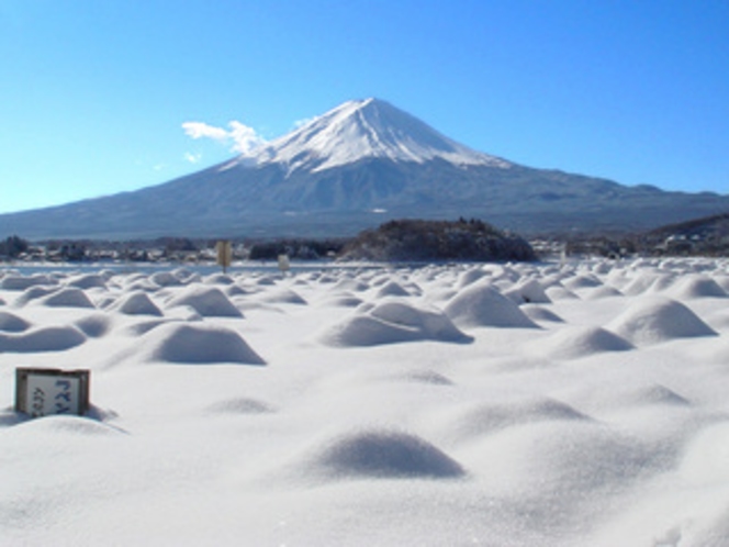 雪の中の富士山