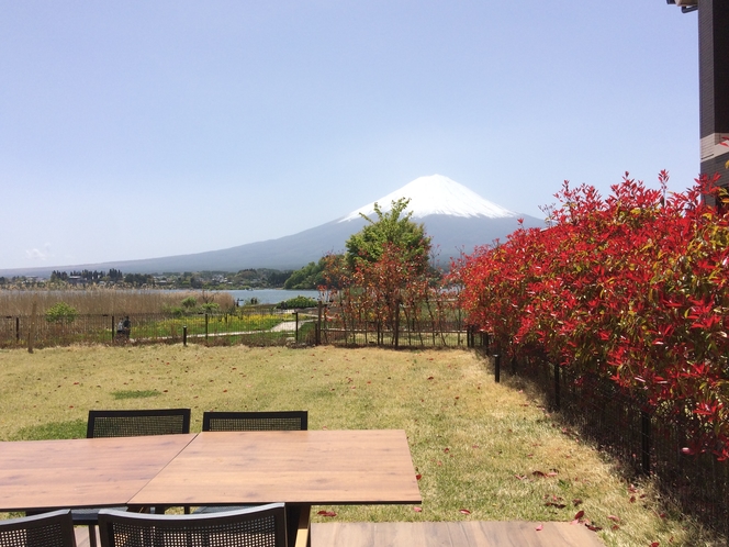 つばきプライベートガーデンからの富士山