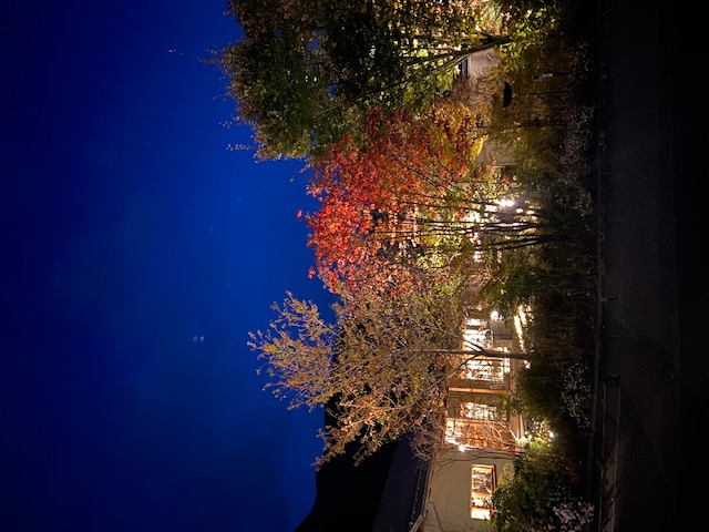 ハナテラス　秋の夜景