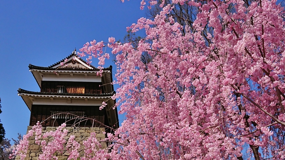 【平日旅】期間限定！長野上田駅まで送迎＆桜の名所を巡るツアー付きプラン《1泊2食》