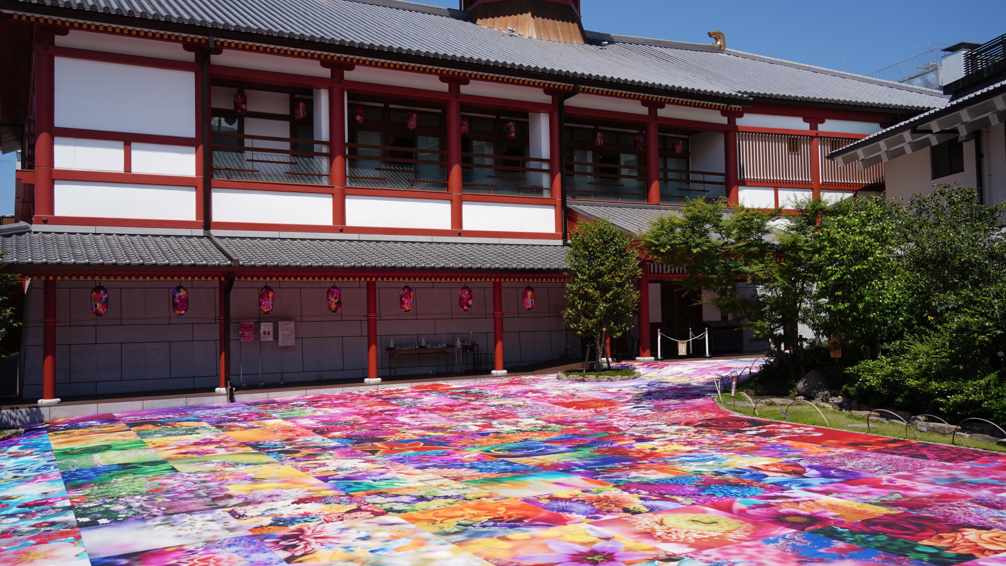 みんなの道後温泉 活性化プロジェクト-写真家・映画監督の蜷川実花さんの花の写真約230点を設置