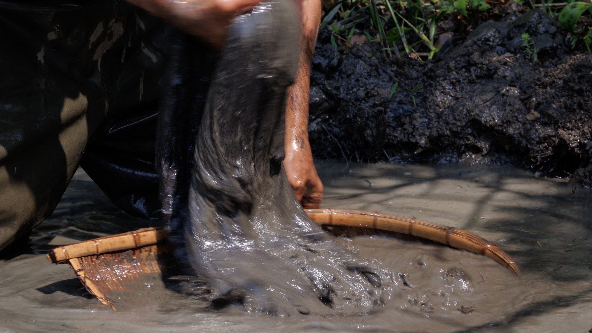 大島紬資料館（ホテル向い）