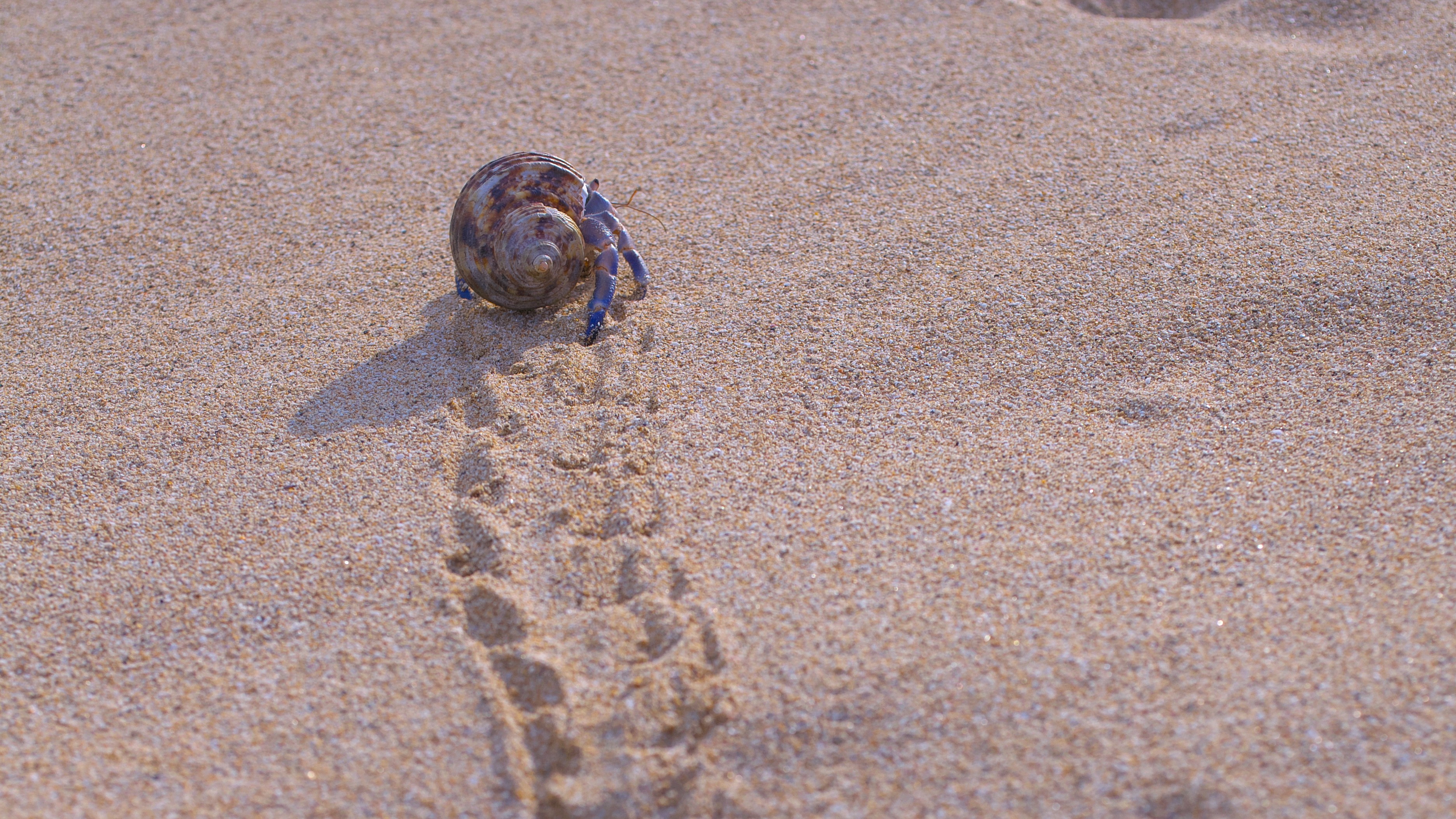 ホテル前の海岸