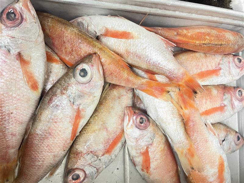 リーズナブルな2食付プラン！【寿しざんまい12貫握り定食】＋【ウェンデーズコラボ朝食】