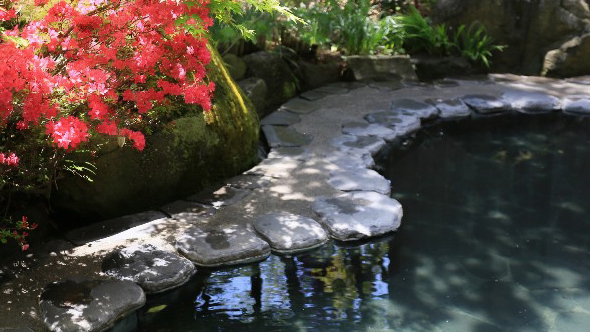 【露天風呂　瑠璃の湯】彩豊かな春の露天風呂