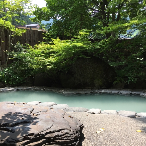 岩露天　夏の様子