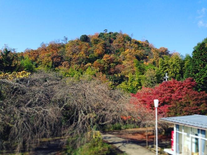 秋の景色