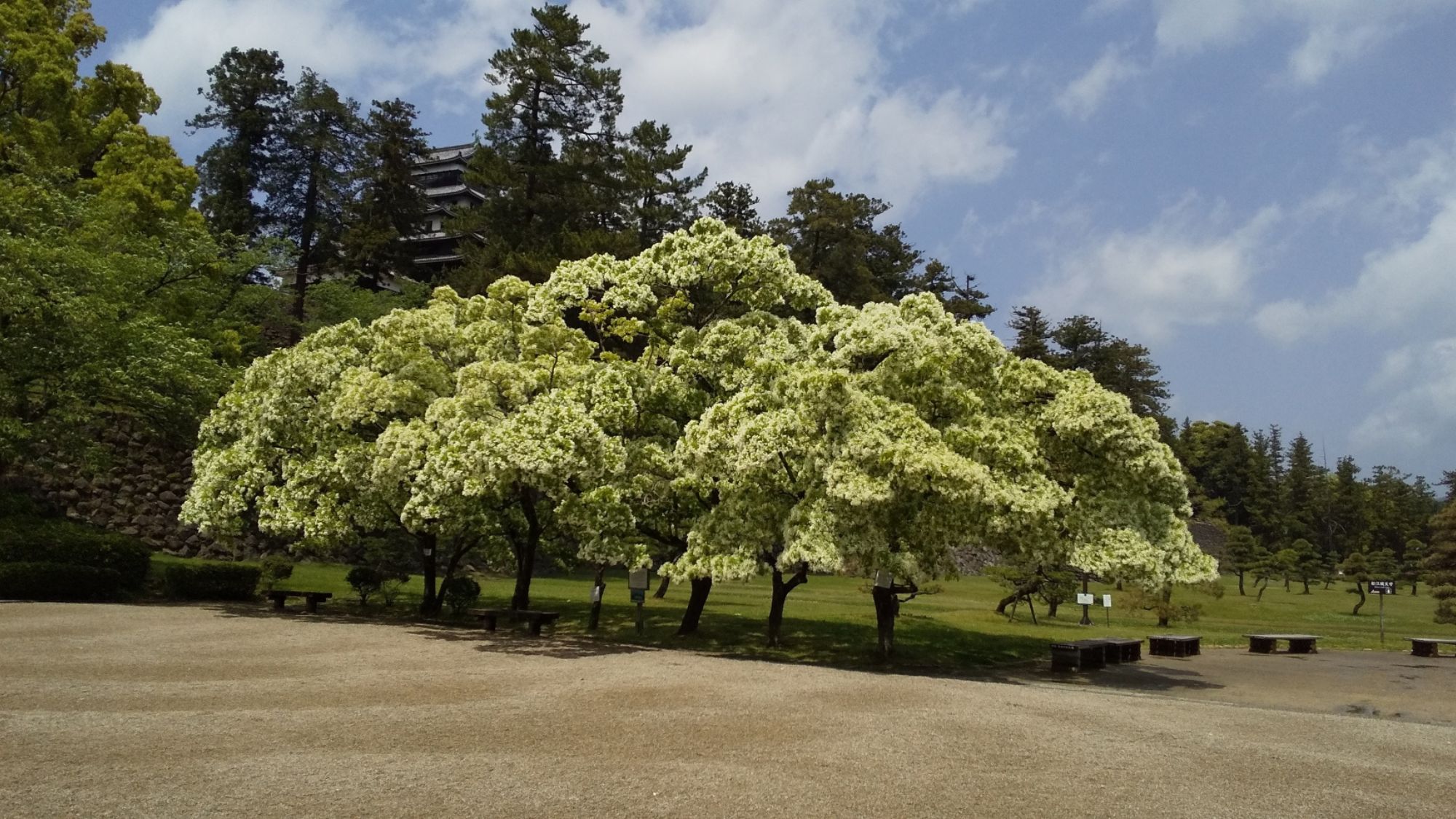 【GW＜4/27〜5/5＞限定プラン】美肌の湯と料理自慢の湯宿でのんびり♪季節の基本会席「えにし」