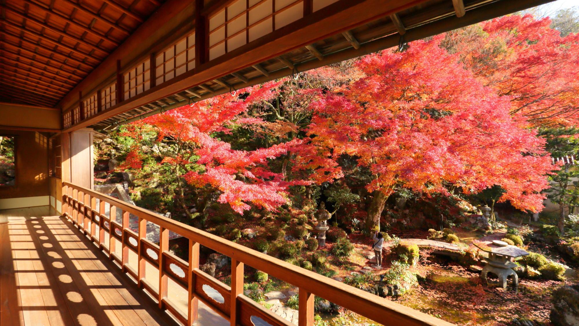 【堀庭園：秋】日本らしい庭園が見せる、美しい自然の景色をお愉しみいただけます。