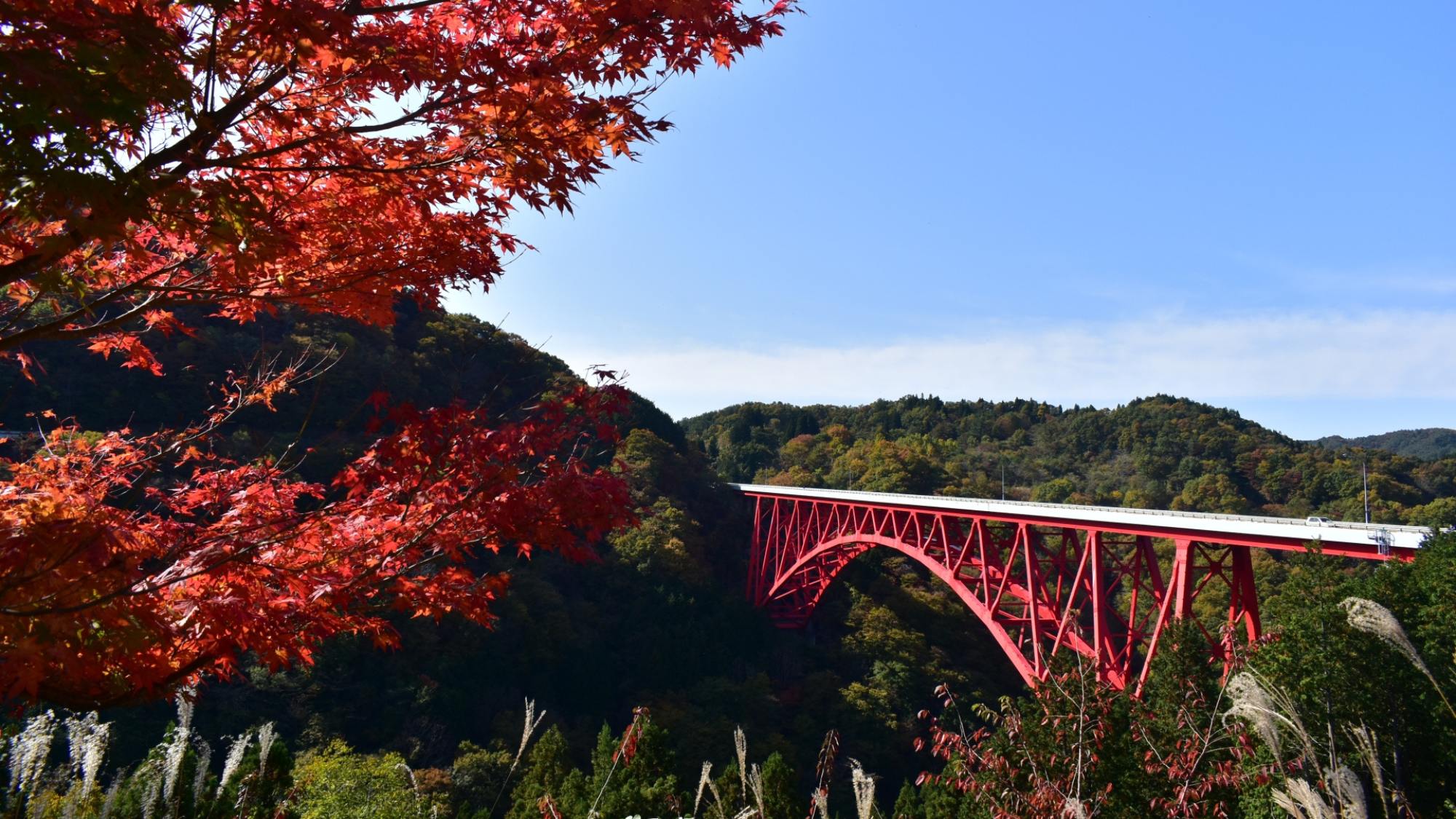 【奥出雲おろちループ：秋】朱色の橋と真っ赤に染まった紅葉が美しい、島根でも有名な紅葉スポット。